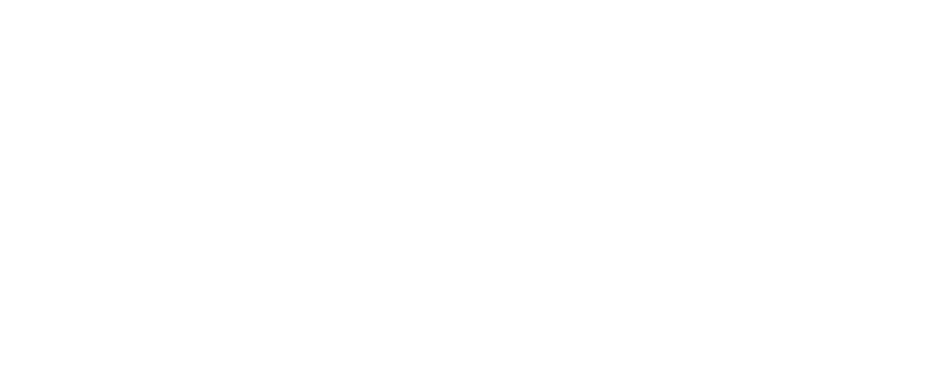 Grupo SEB